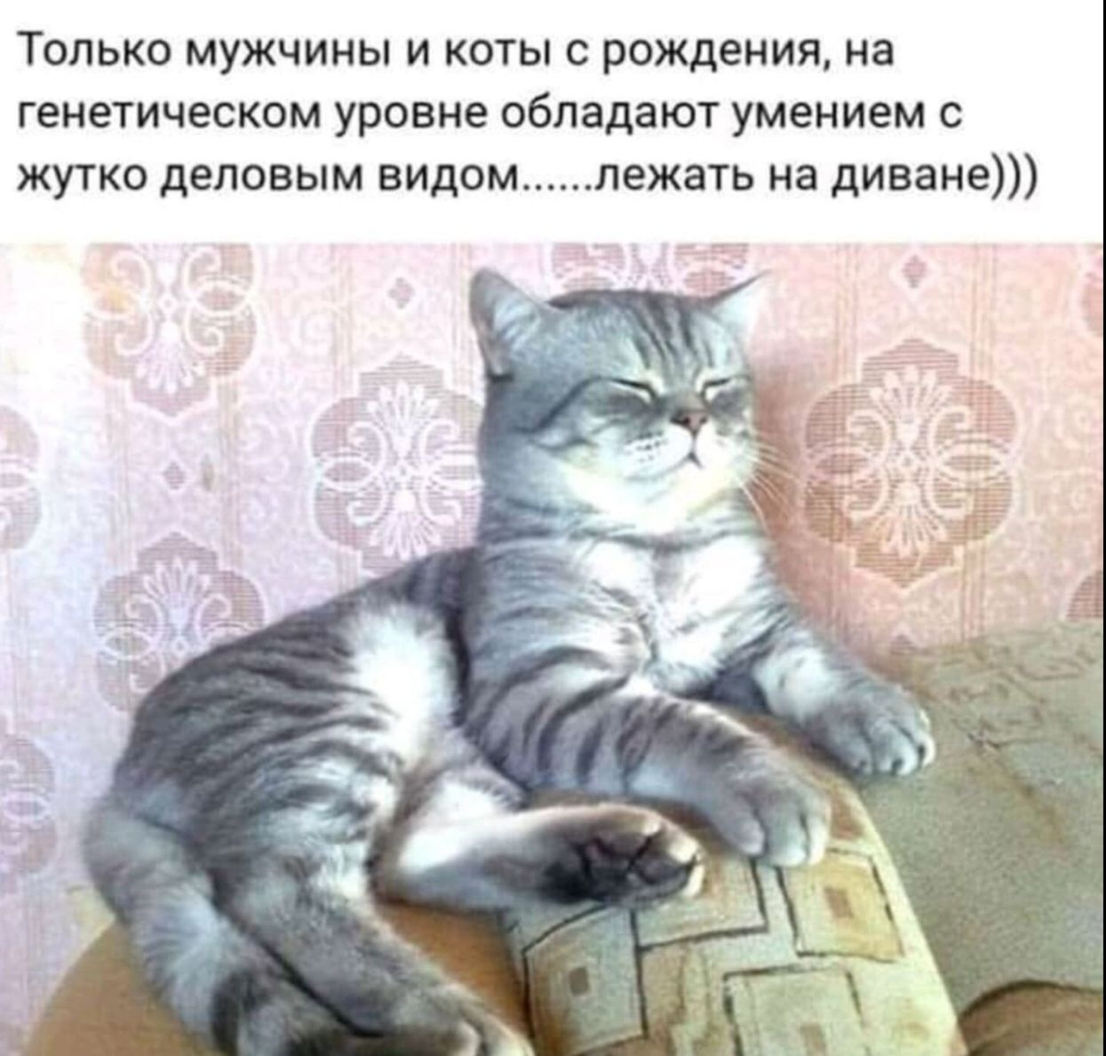 Только мужчины и коты с рождения, на генетическом уровне обладают умением с жутко деловым видом......лежать на диване)))
