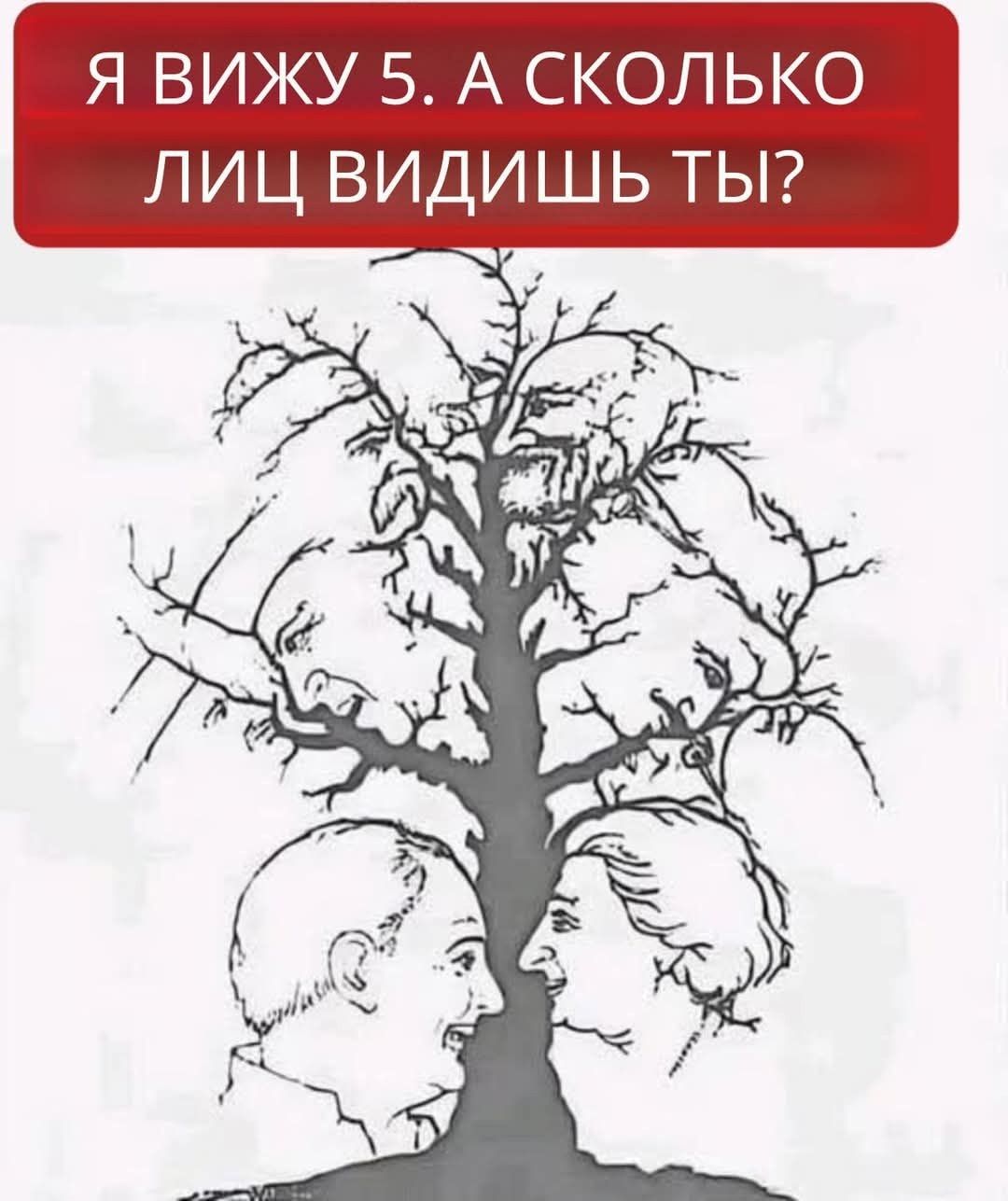 Я ВИЖУ 5. А СКОЛЬКО ЛИЦ ВИДИШЬ ТЫ?