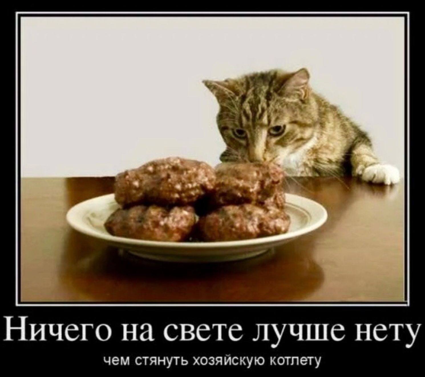 Ничего на свете лучше нету чем стянуть хозяйскую котлету