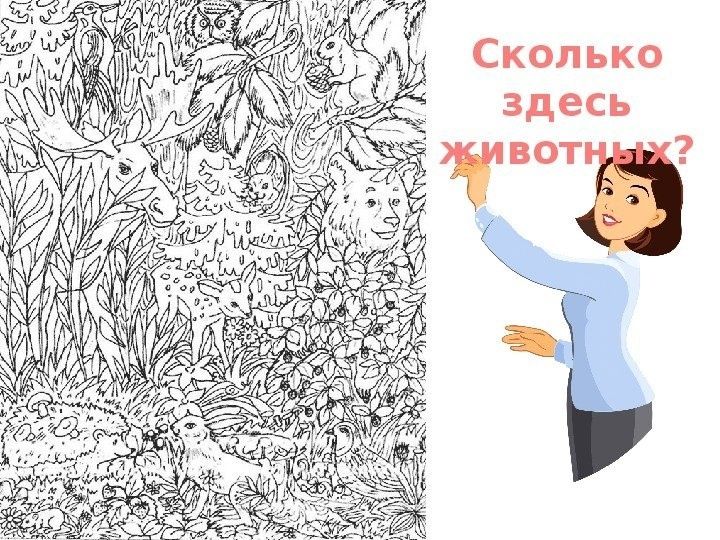 Сколько здесь животных?