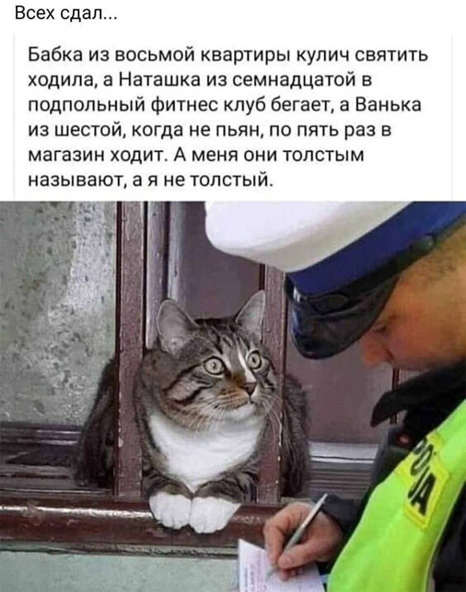 Бабка из восьмой квартиры кулич свящить ходила, а Наташка из семнадцатой в подпольный фитнес клуб бегает, а Ванька из шестой, когда не пьян, по пять раз в магазин ходит. А меня они толстым называют, а я не толстый.