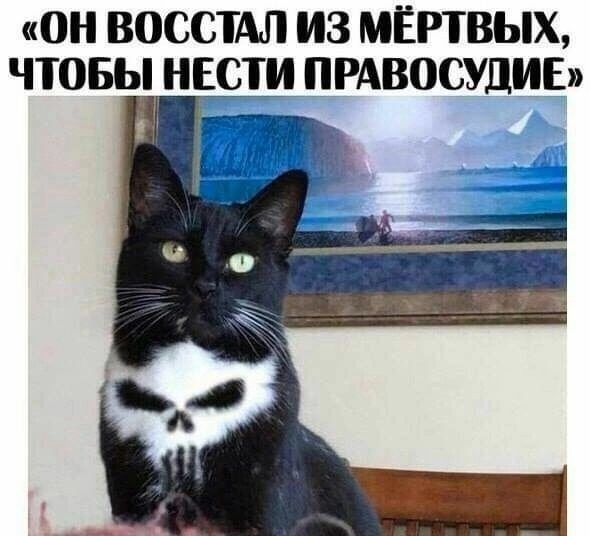 «ОН ВОСКРЕС ИЗ МЁРТВЫХ, ЧТОБЫ НСЕТИ ПРАВОСУДИЕ»