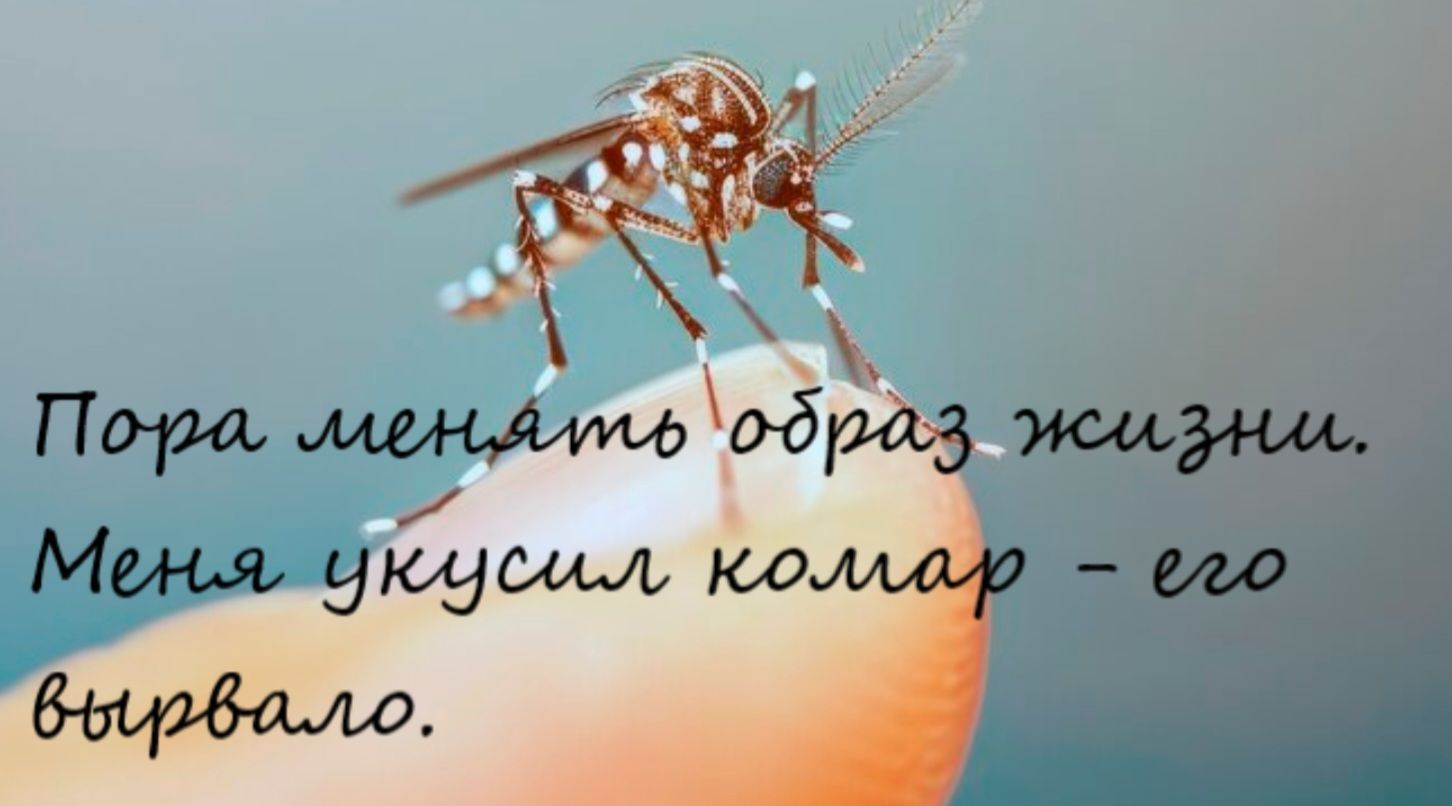 Пора менять образ жизни. Меня укусил комар - его вырвало.