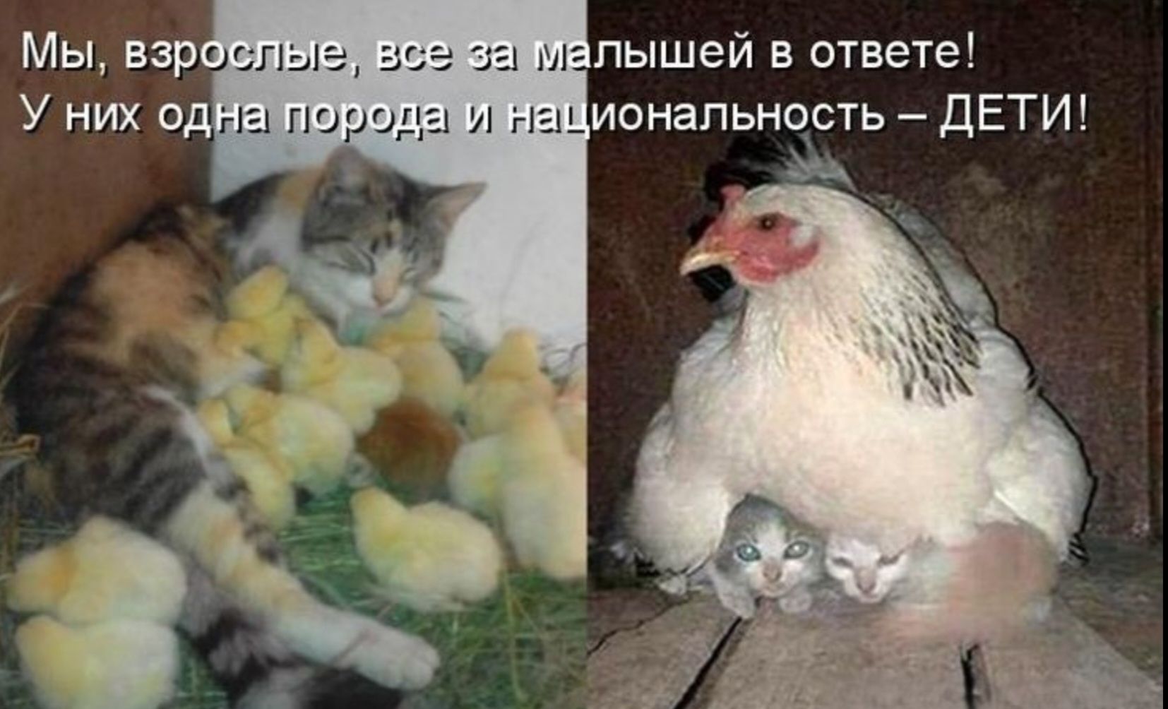 Мы, взрослые, все за малышёй в ответе! У них одна порода и национальность – ДЕТИ!