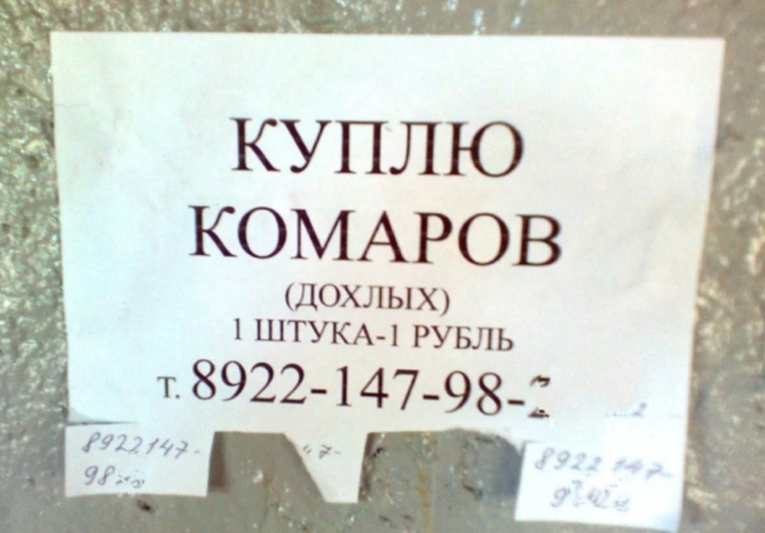 КУПЛЮ КОМАРОВ (ДОХЛЫХ) 1 ШТУКА - 1 РУБЛЬ т. 89222-147-98-2