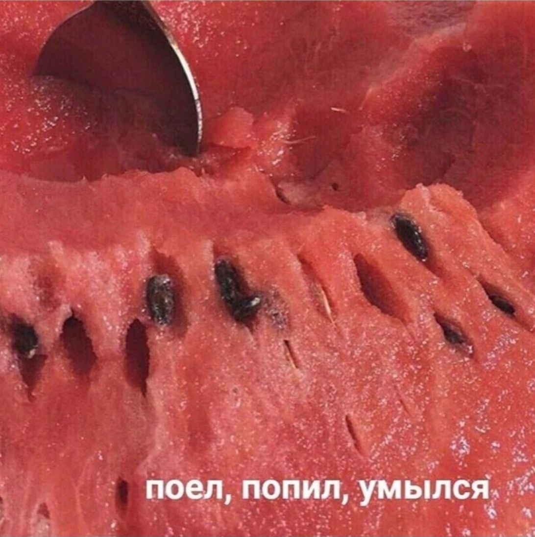 поел, попил, умылся