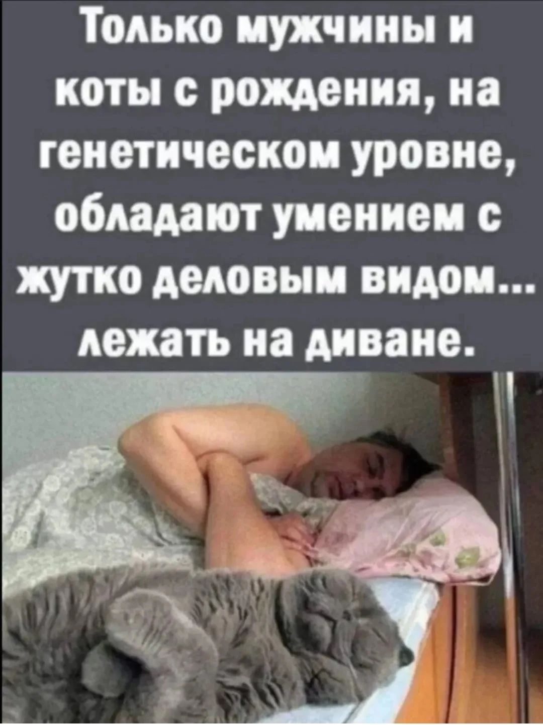 Только мужчины и коты с рождения, на генетическом уровне, обладают умением с жутко деловым видом... лежать на диване.