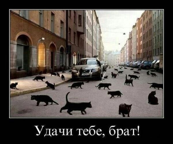Удачи тебе, брат!
