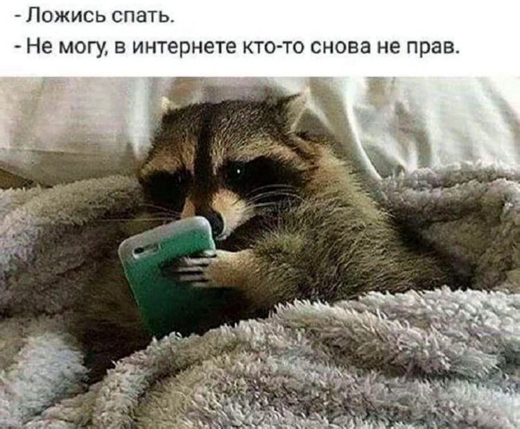 Ложись спать. - Не могу, в интернете кто-то снова не прав.