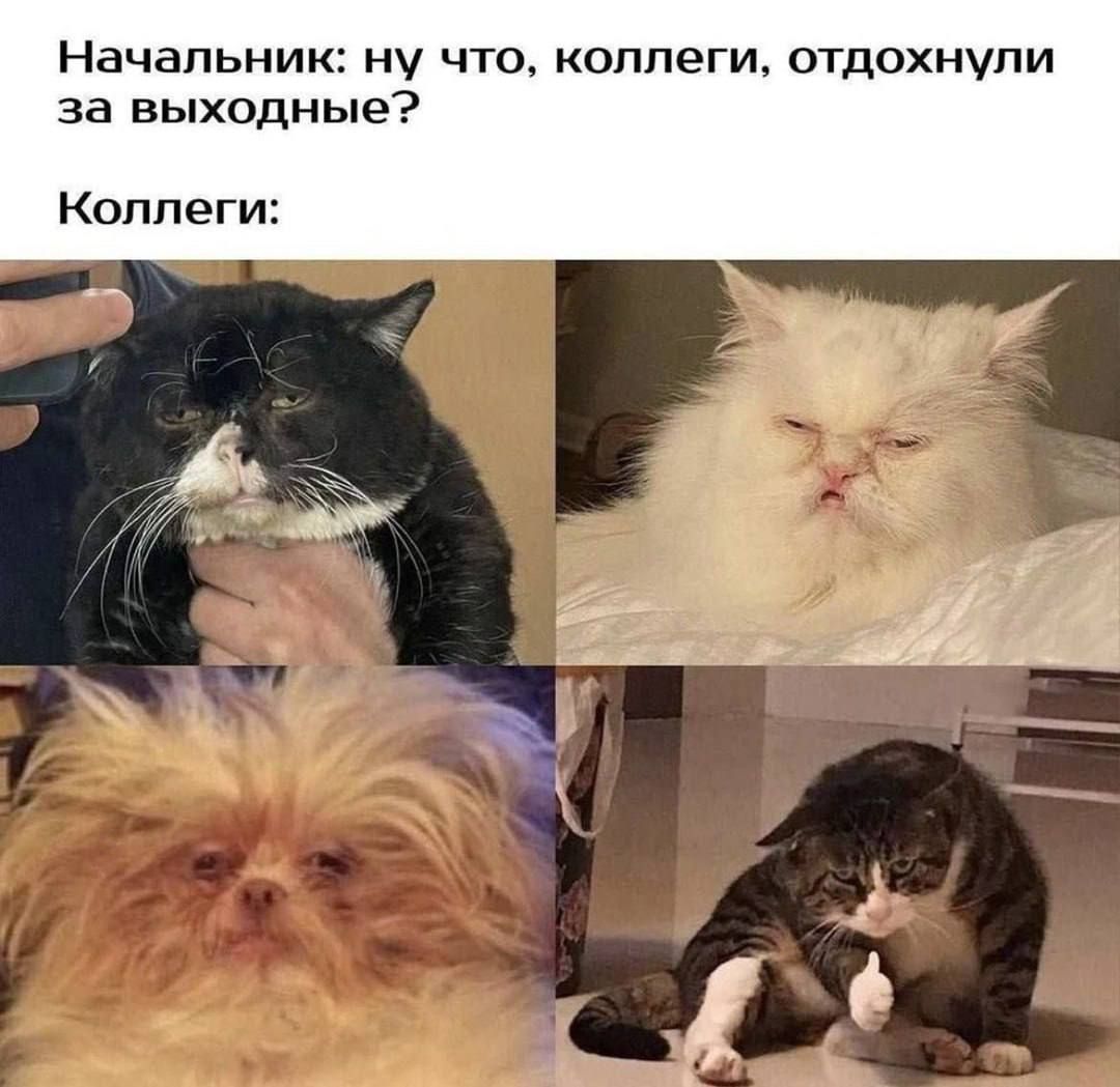 Начальник: ну что, коллеги, отдохнули за выходные?

Коллеги: