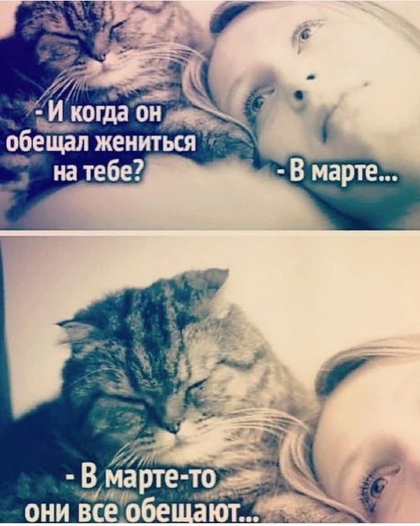 - И когда он обещал жениться на тебе? - В марте...

- В марте-то они все обещают...
