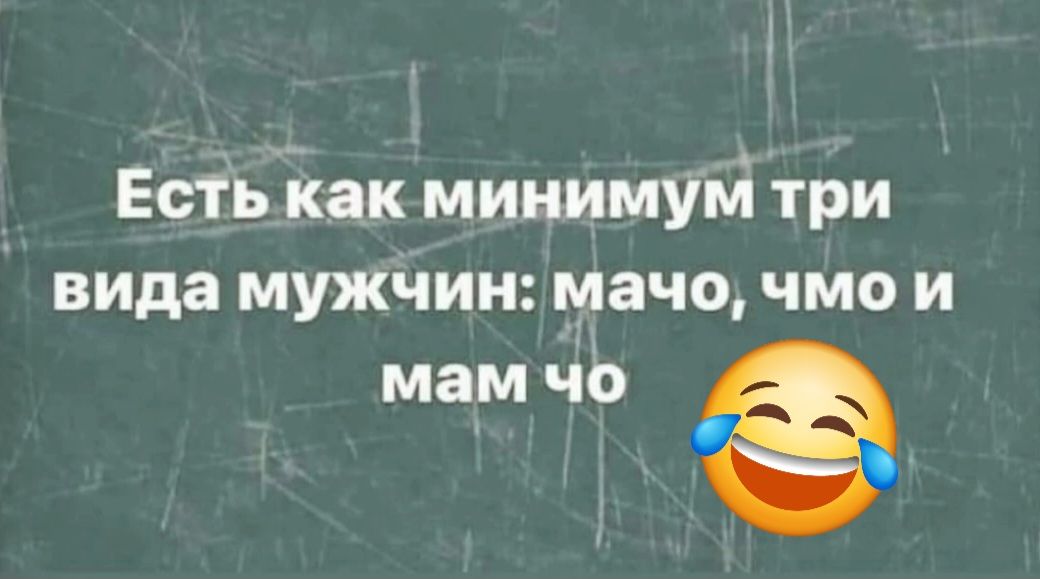 Есть как минимум три вида мужчин: ма... чо, чмо и мам чо