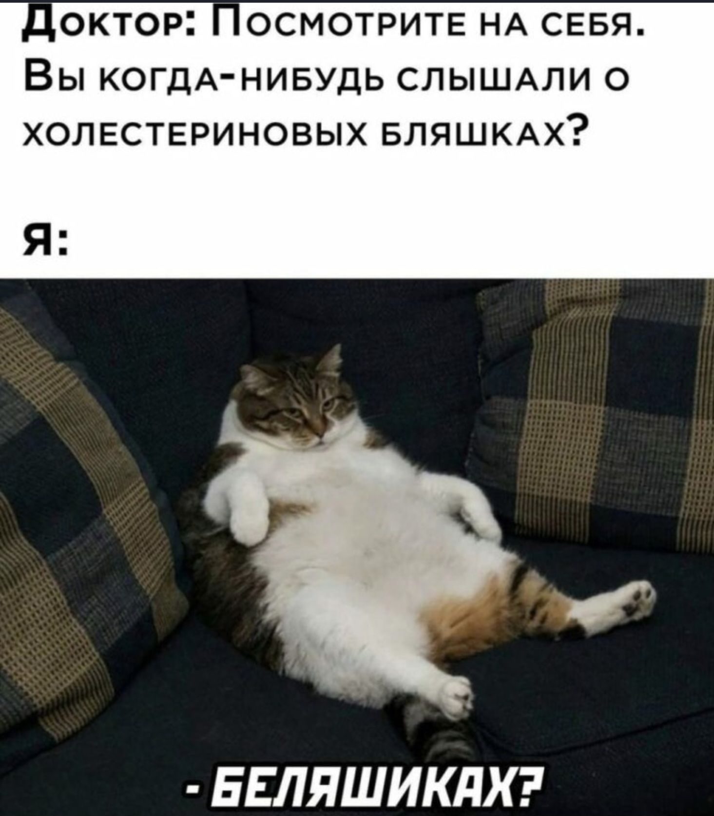 Доктор: Посмотрите на себя. Вы когда-нибудь слышали о холестеринивых бляшках? Я: - Беляшиках?
