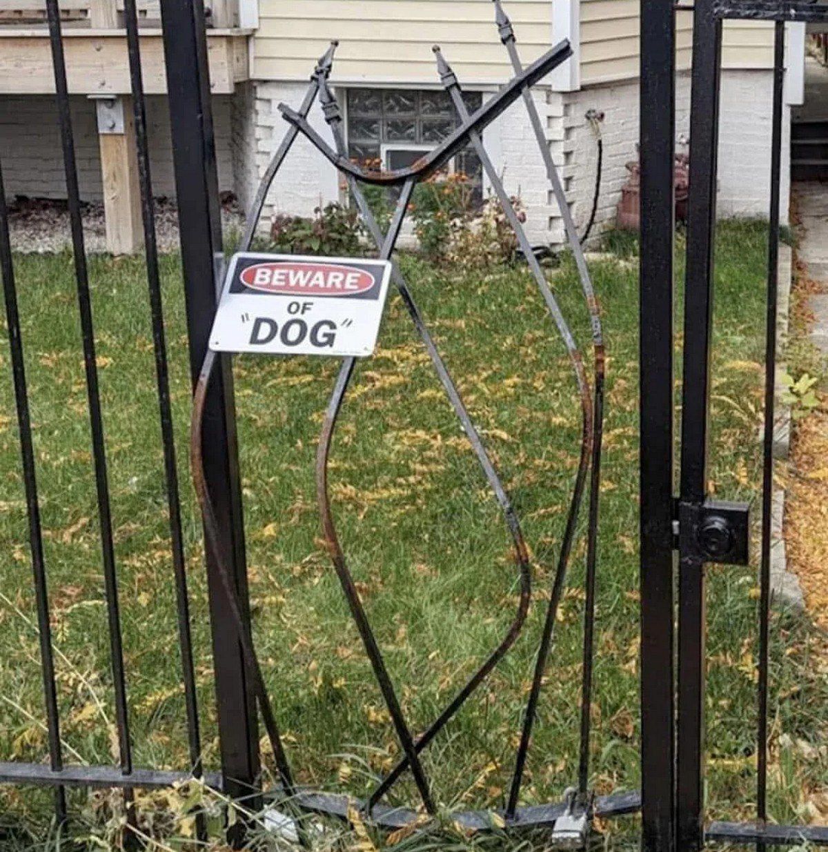 BEWARE OF 'DOG'