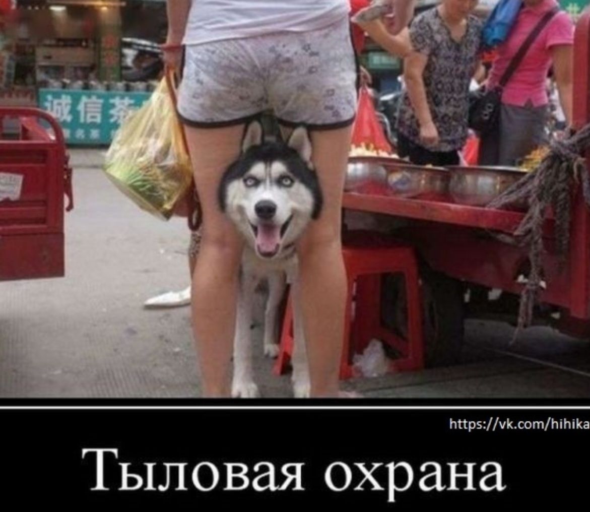 Тыловая охрана