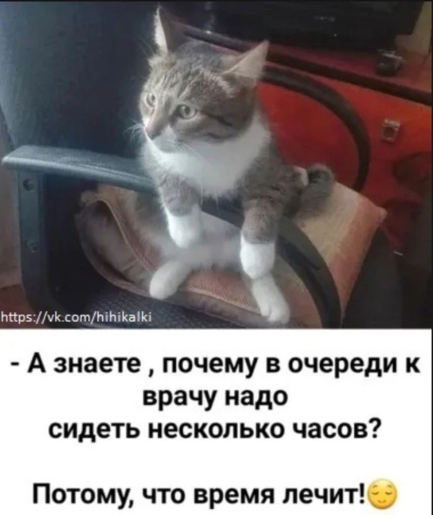 - А знаете, почему в очереди к врачу надо сидеть несколько часов? Потому, что время лечит!😌