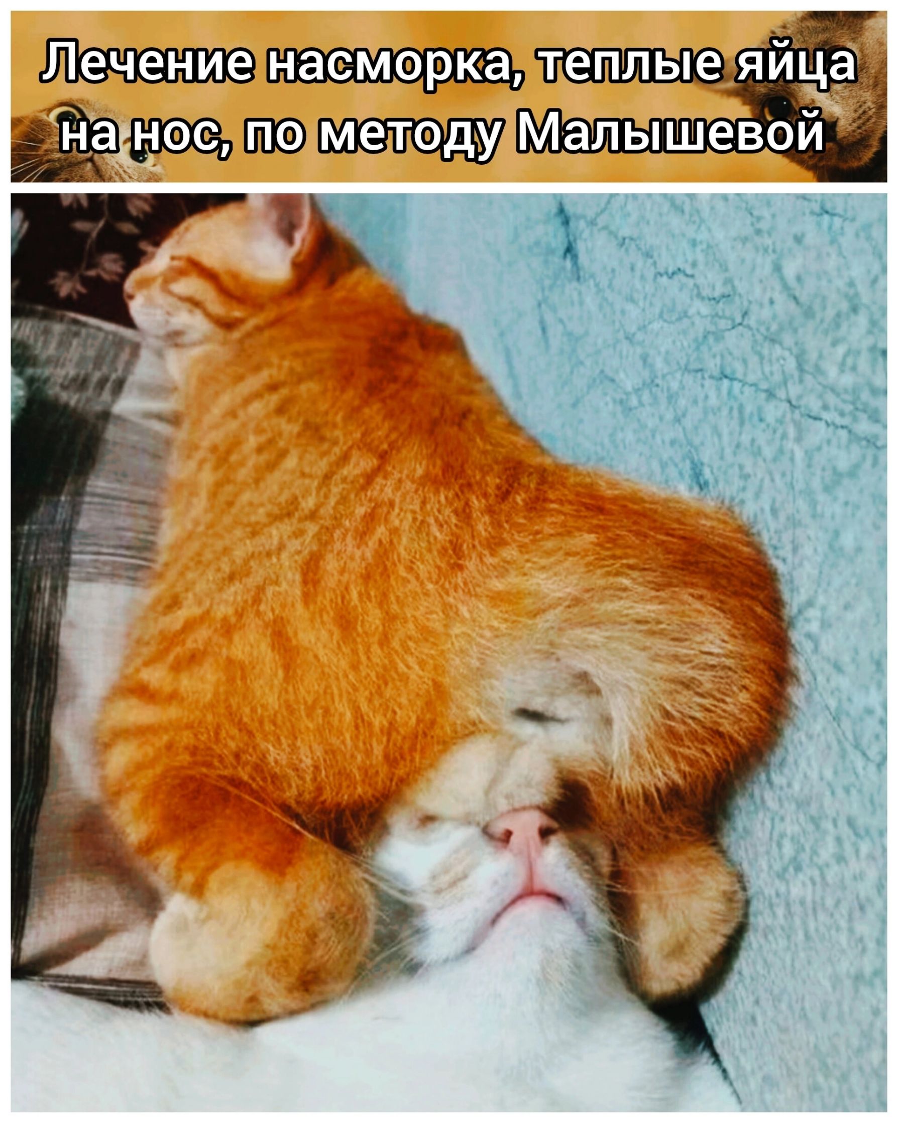 Лечение насморка, теплые яйца на нос, по методу Малышевой