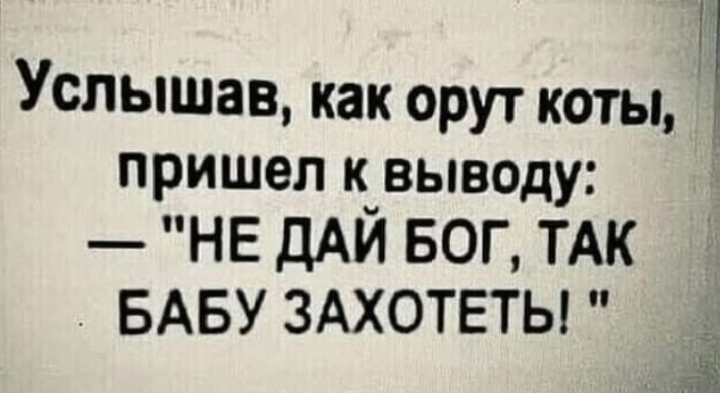 Услышав, как орут коты, пришел к выводу: — 