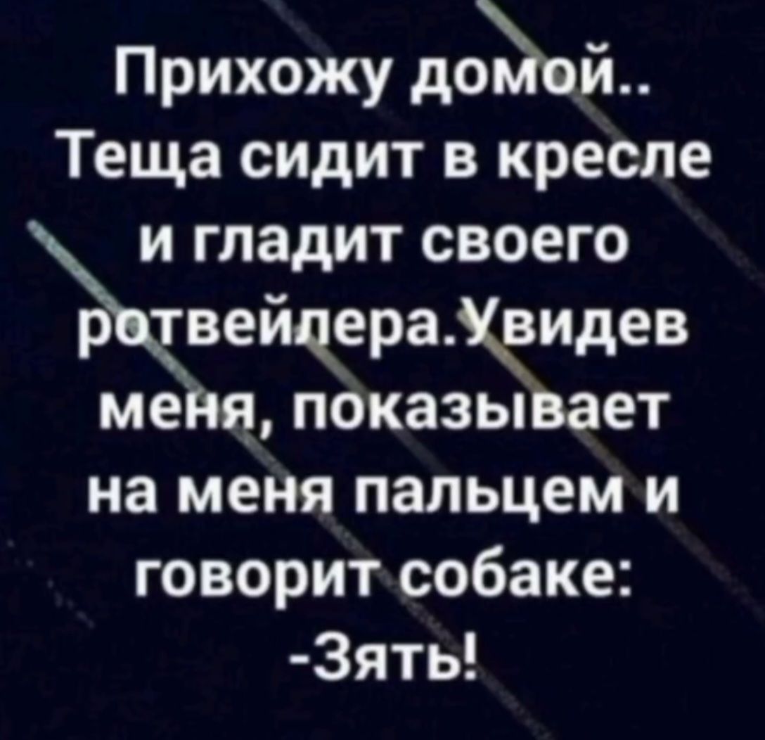Прихожу домой.. Теща сидит в кресле и гладит своего ротвейлера. Увидев меня, показывает на меня пальцем и говорит собаке: -Зять!