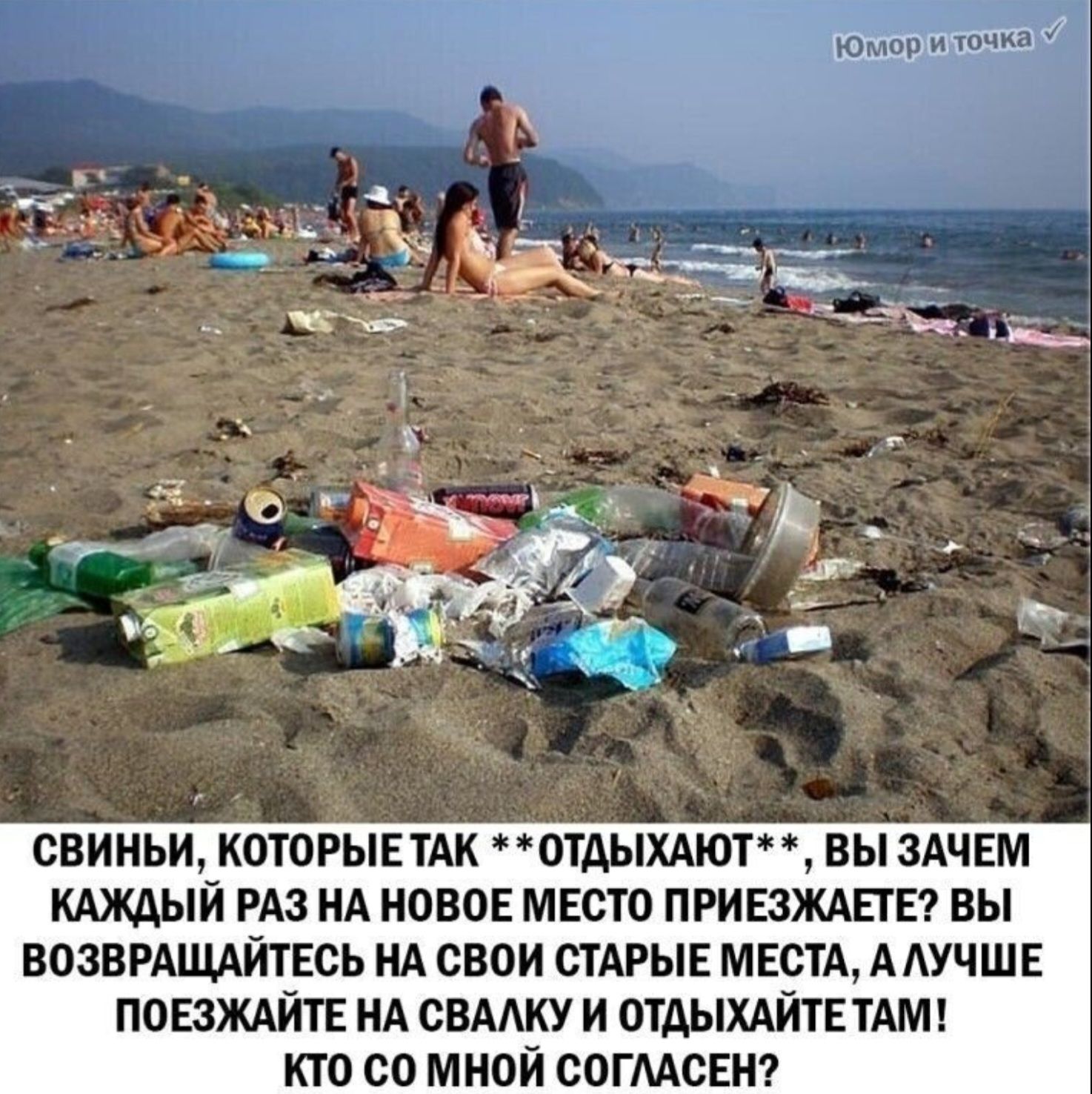 СВИНЬИ, КОТОРЫЕ ТАК **ОТДЫХАЮТ**, ВЫ ЗАЧЕМ КАЖДЫЙ РАЗ НА НОВОЕ МЕСТО ПРИЕЗЖАЕТЕ? ВЫ ВОЗВРАЩАЙТЕСЬ НА СВОИ СТАРЫЕ МЕСТА, А ЛУЧШЕ ПОЕЗЖАЙТЕ НА СВАЛКУ И ОТДЫХАЙТЕ ТАМ! КТО СО МНОЙ СОГЛАСЕН?
