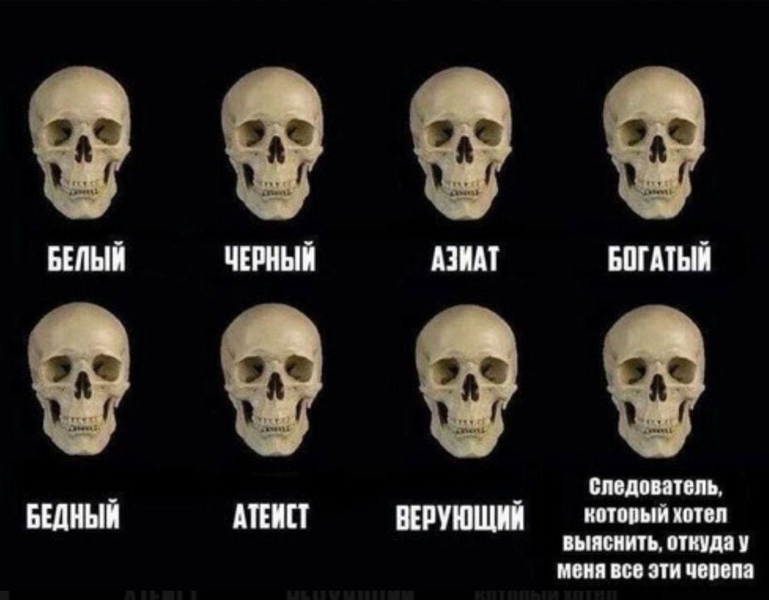 Следователь, который хотел выяснить, откуда у меня все эти черепа