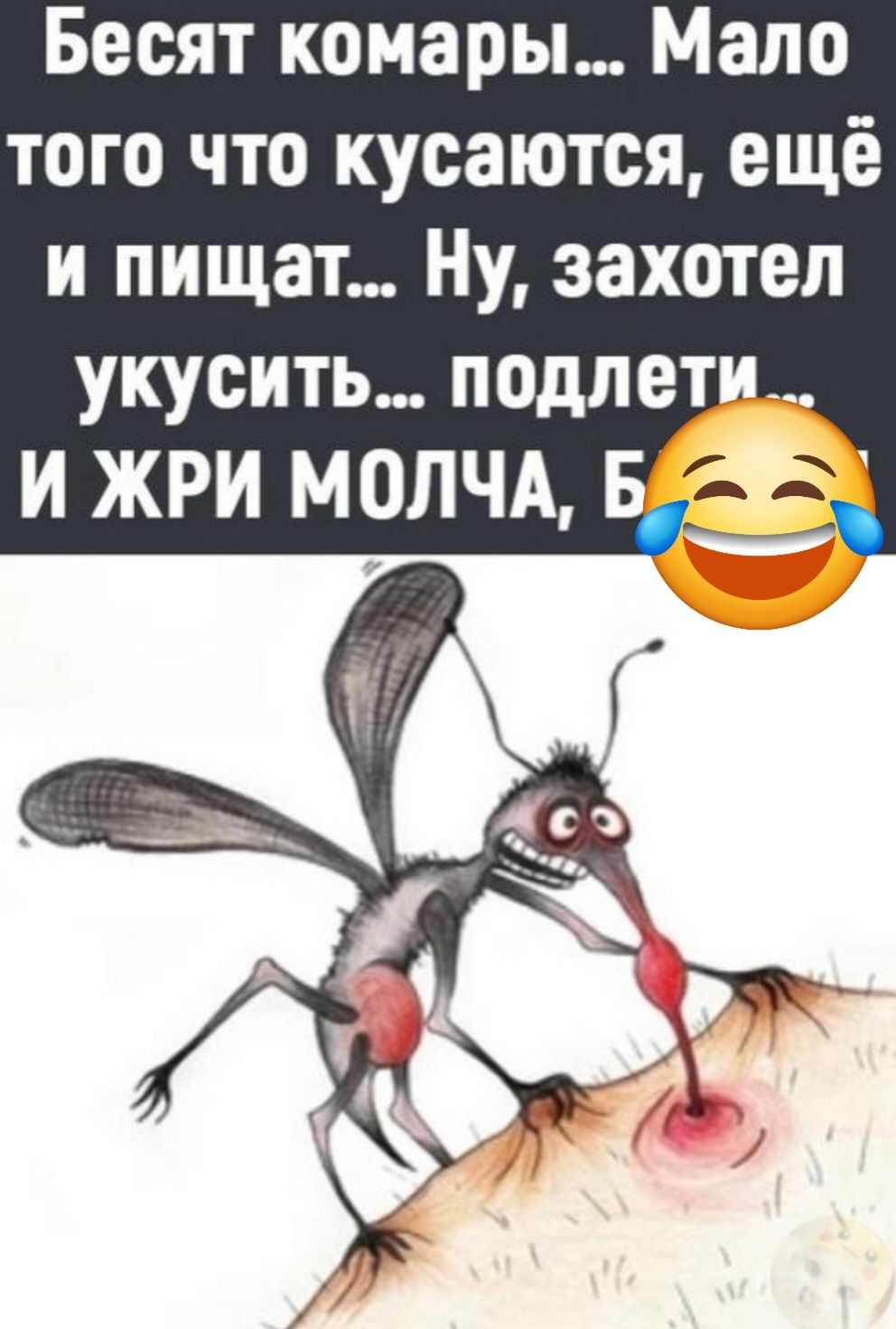 Бесят комары... Мало того что кусаются, ещё и пищат... Ну, захотел укусить... подлети... И ЖРИ МОЛЧА, Б!