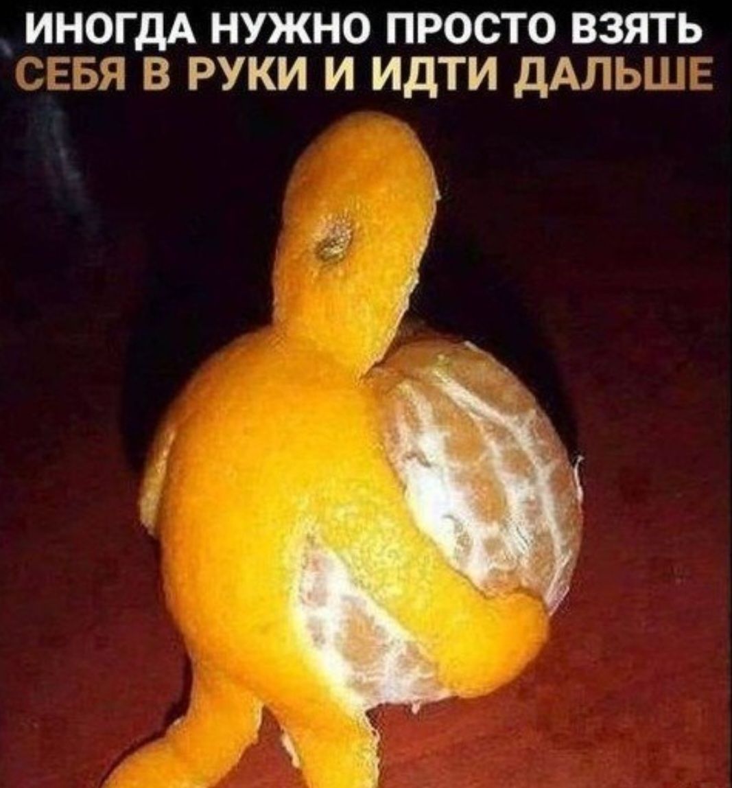 ИНОГДА НУЖНО ПРОСТО ВЗЯТЬ СЕБЯ В РУКИ И ИДТИ ДАЛЬШЕ