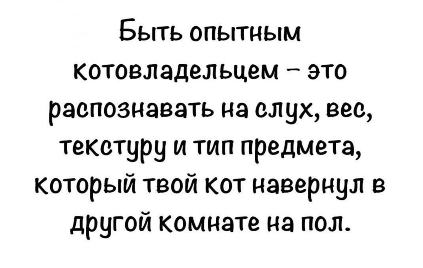 Быть опытным котовладельцем – это распознавать на слух, вес, текстуру и тип предмета, который твой кот наверкнул в другой комнате на пол.