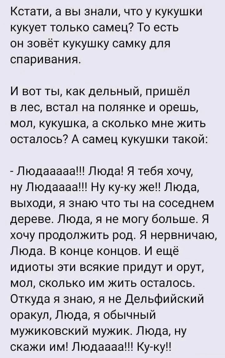 Кстати, а вы знали, что у кукушки кукует только самец? То есть он зовёт кукушку самку для спаривания.

И вот ты, как дельный, пришёл в лес, встал на поляночке и орёшь, мол, кукушка, а сколько мне жить осталось? А самец кукушки такой:

- Людаaaaa!!! Люда! Я тебя хочу, ну Людаaaa!!! Ну ку-ку же!! Люда, выходи, я знаю, что ты на соседнем дереве. Люда, я не могу больше. Я хочу продолжить род. Я нервничаю, Люда. В конце концов. И ещё идиоты эти всякие придут и орут, мол, сколько им жить осталось. Откуда я знаю, а я не Дельфийский оракул, Люда, я обычный человеческий мужик. Люда, не скажи им! Людаaaaa! Ku-ku!