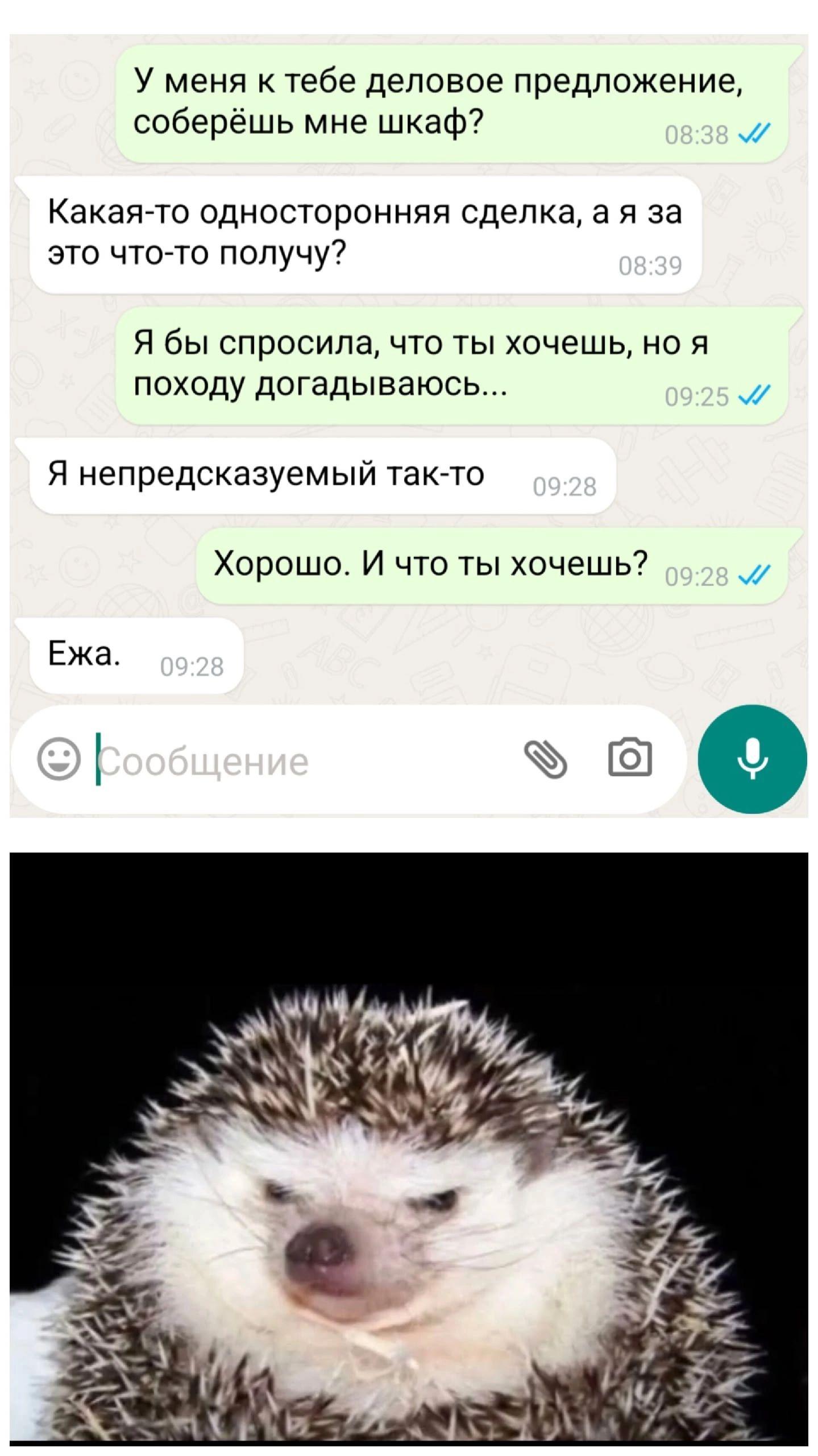 У меня к тебе деловое предложение, соберёшь мне шкаф?
Какая-то односторонняя сделка, а я за это что-то получу?
Я бы спросила, что ты хочешь, но я походу догадываюсь...
Я непредсказуемый так-то
Хорошо. И что ты хочешь?
Ежа.