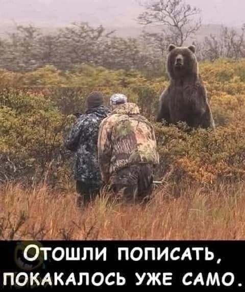 Отошли пописать, покакалось уже само.
