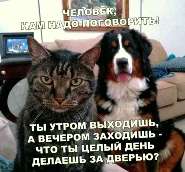 ЧЕЛОВЕК, НАМ НУДО ПОГОВОРИТЬ! ТЫ УТРОМ ВЫХОДИШЬ, А ВЕЧЕРОМ ЗАХОДИШЬ - ЧТО ТЫ ЦЕЛЫЙ ДЕНЬ ДЕЛАЕШЬ ЗА ДВЕРЬЮ?
