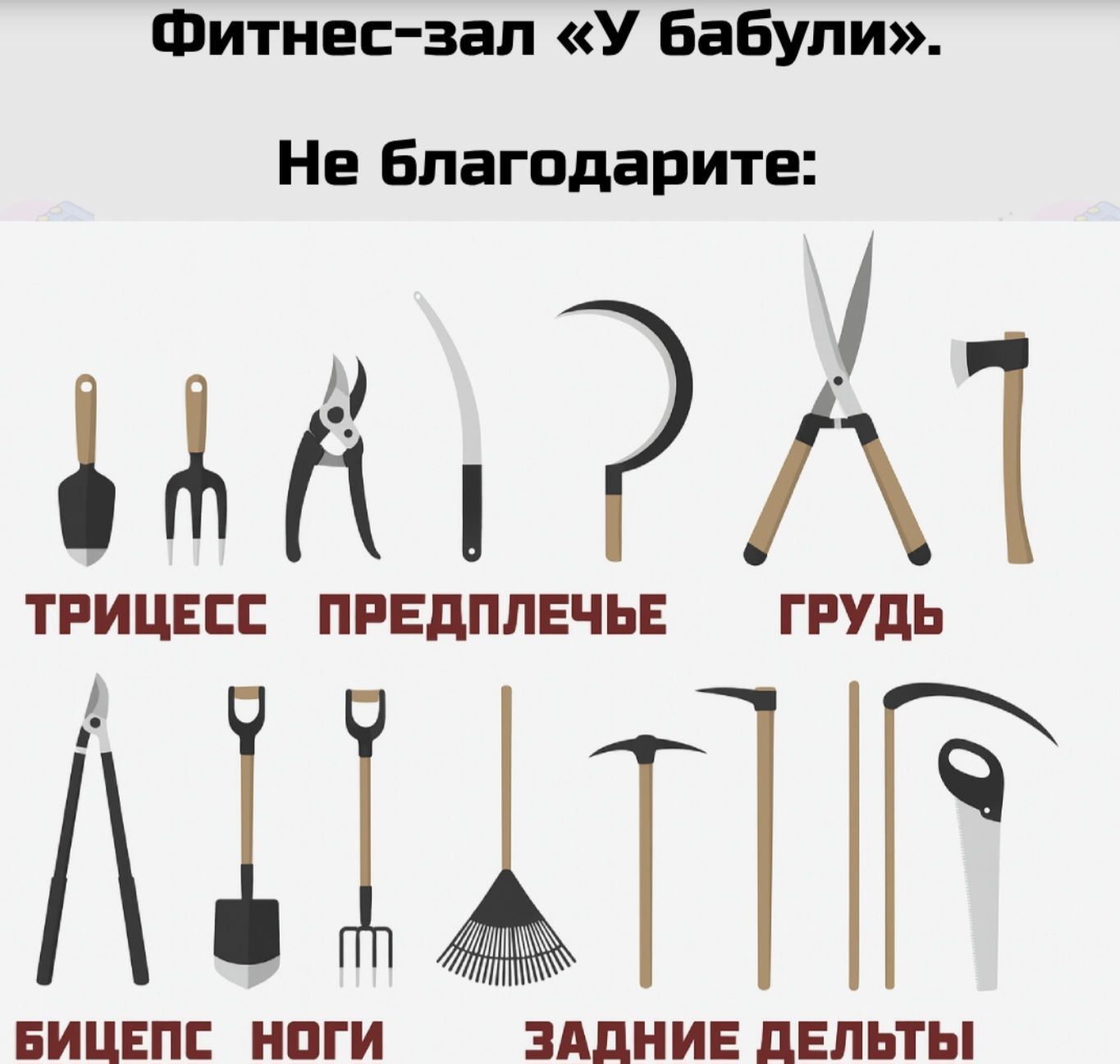 Фитнес-зал «У бабули». Не благодари:

ТРИЦЕСС  |  ПРЕДПЛЕЧЬЕ  |  ГРУДЬ
БИЦЕПС  |  НОГИ  |  ЗАДНИЕ ДЕЛЬТЫ