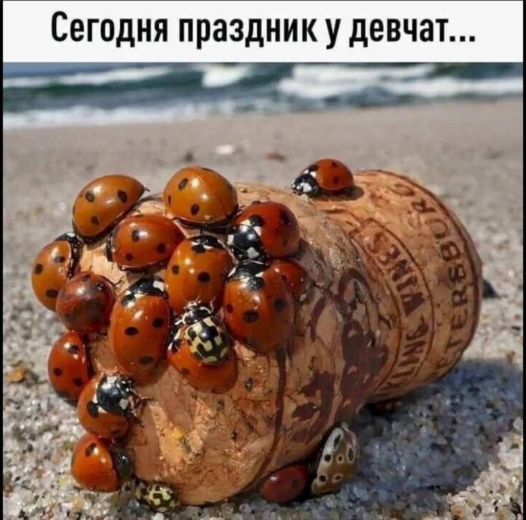 Сегодня праздник у девчат...