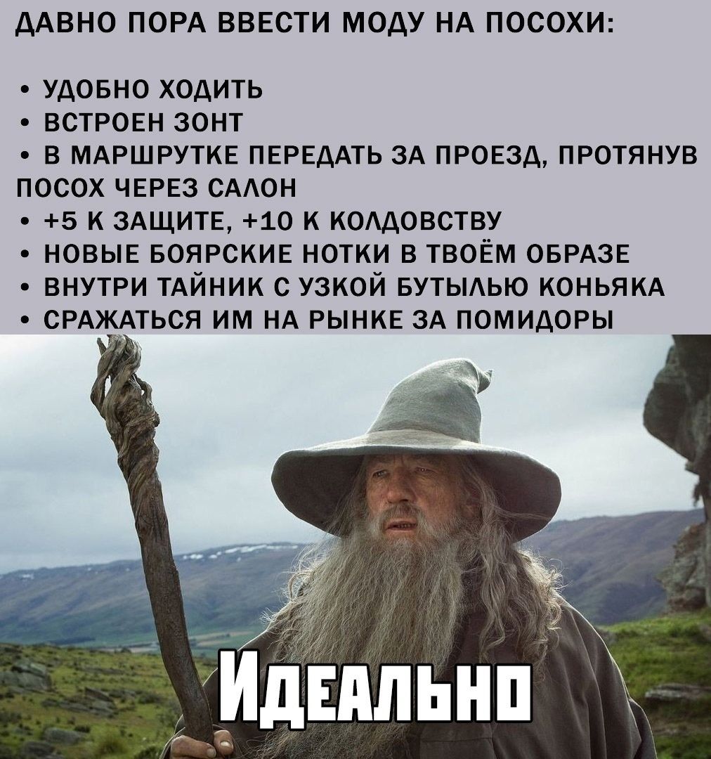ДАВНО ПОРA ВВЕСТИ МОДУ НА ПСОХИ:

• УДОБНО ХОДИТЬ
• ВСТРОЕН ЗОНТ
• В МАРШРУТКЕ ПЕРЕАДАТЬ ЗА ПРОЕЗД, ПРОТЯНУВ ПСОХ ЧЕРЕЗ САЛОН
• +5 К ЗАЩИТЕ, +10 К ХОЛОДЕСТВУ
• НОВЫЕ БОЯРСКИЕ НОТКИ В ТВОЕМ ОБРАЗЕ
• ВНУТРИ ТАЙНИК С УЗКОЙ БУТЫЛЬЮ КОНЬЯКА
• СРАЖАТЬСЯ ИМ НА РЫНКЕ ЗА ПОМИДОРЫ

ИДЕАЛЬНО