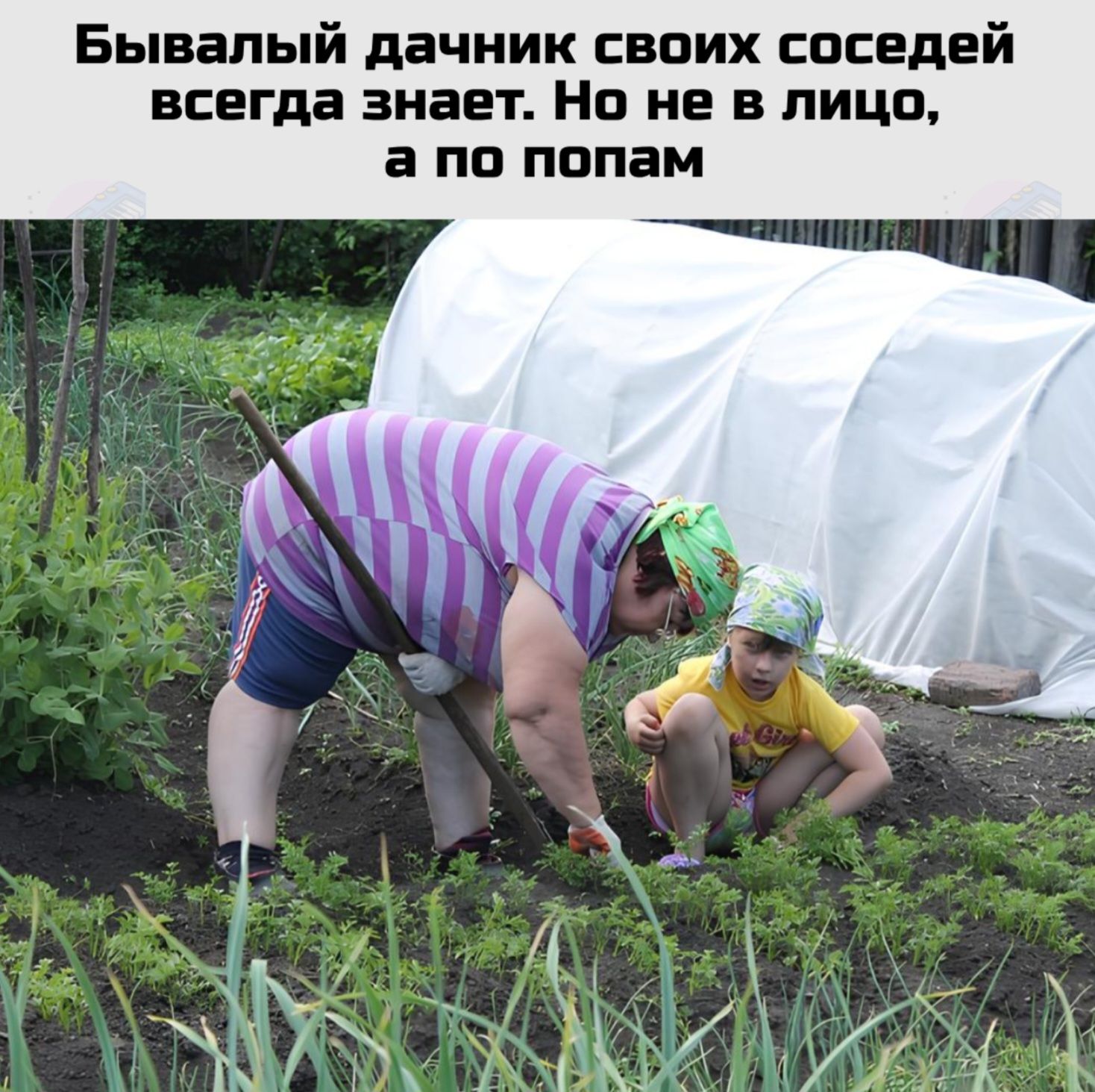 Бывалыи́ дачник своих соседей всегда знает. Но не в лицо, а по попам