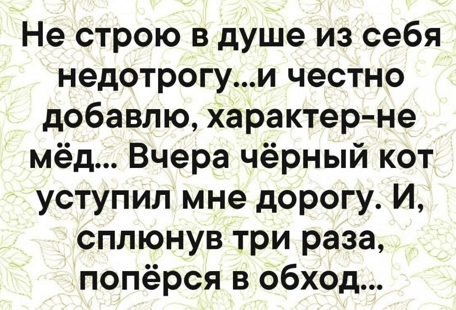 Не строю в душе из себя недотрогу...и честно добавлю, характер-не мёд... Вчера чёрный кот уступил мне дорогу. И, сплюнув три раза, попёрся в обход...