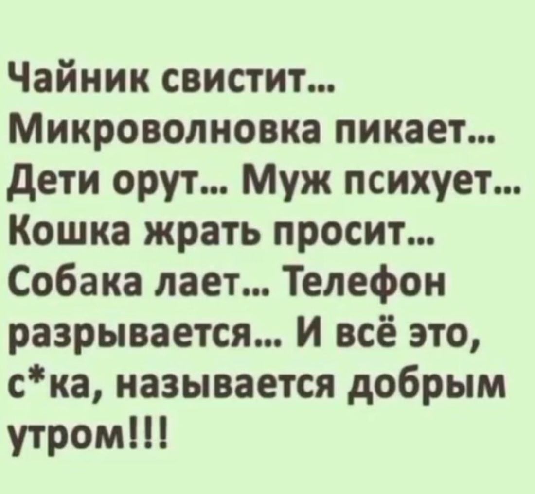 Чайник свистит... Микроволновка пикает... Дети орут... Муж психует... Кошка жрать просит... Собака лает... Телефон разрывается... И всё это, с*ка, называется добрым утром!!!