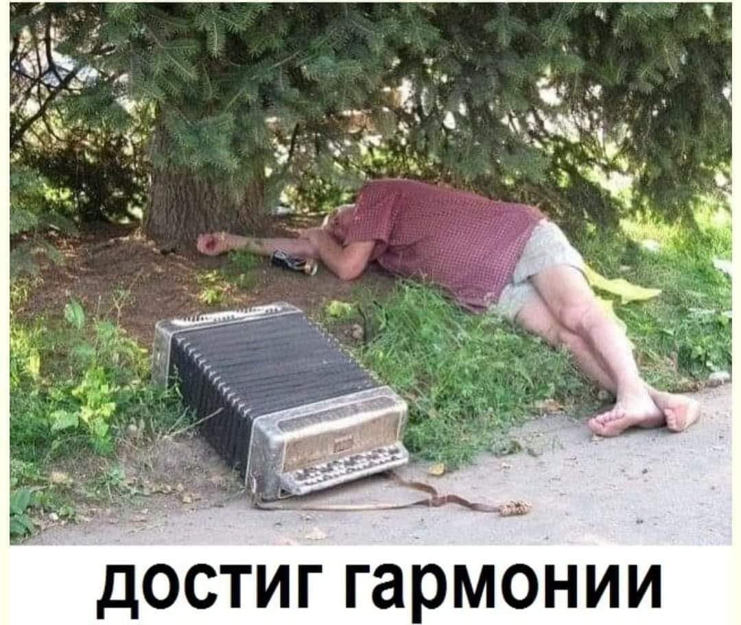 достиг гармонии