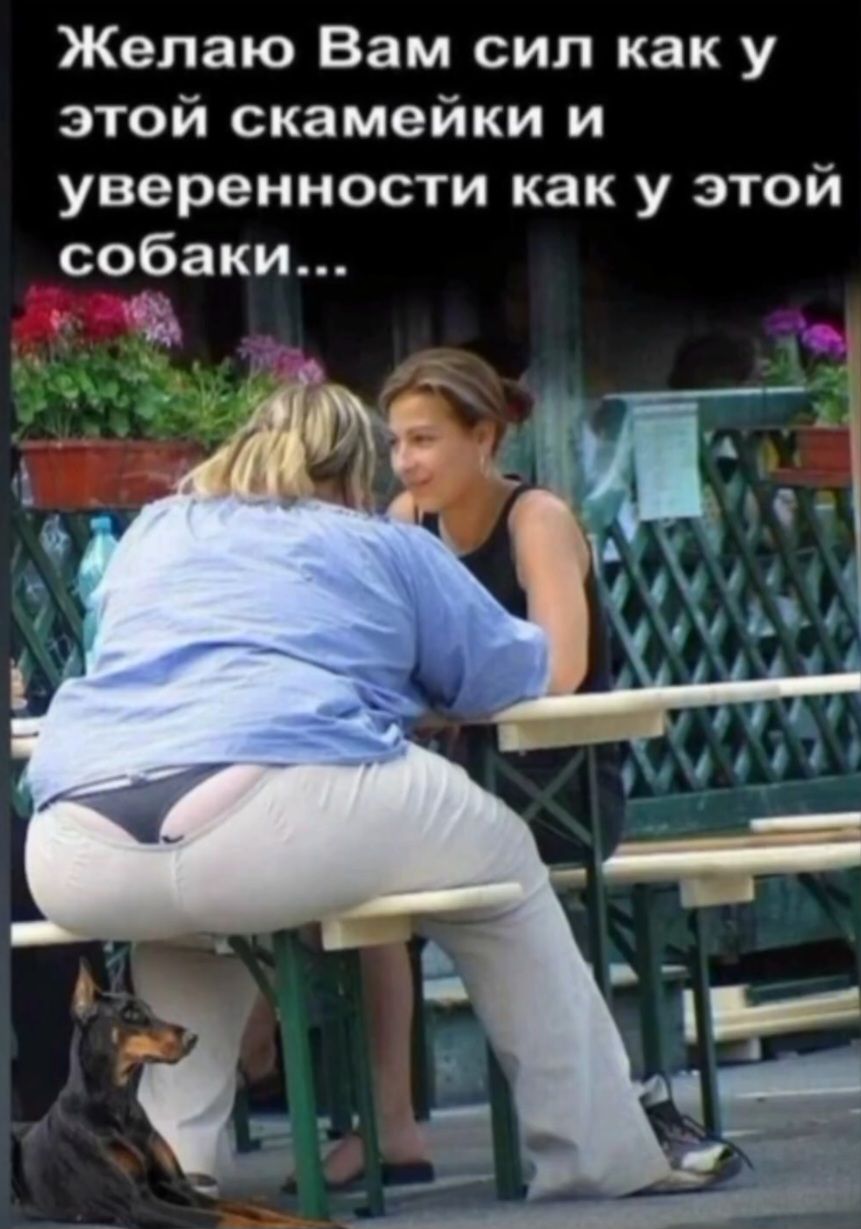 Желаю Вам сил как у этой скамейки и уверенности как у этой собаки...