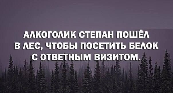 Алкоголик Степан пошёл в лес, чтобы посетить белок с ответным визитом.