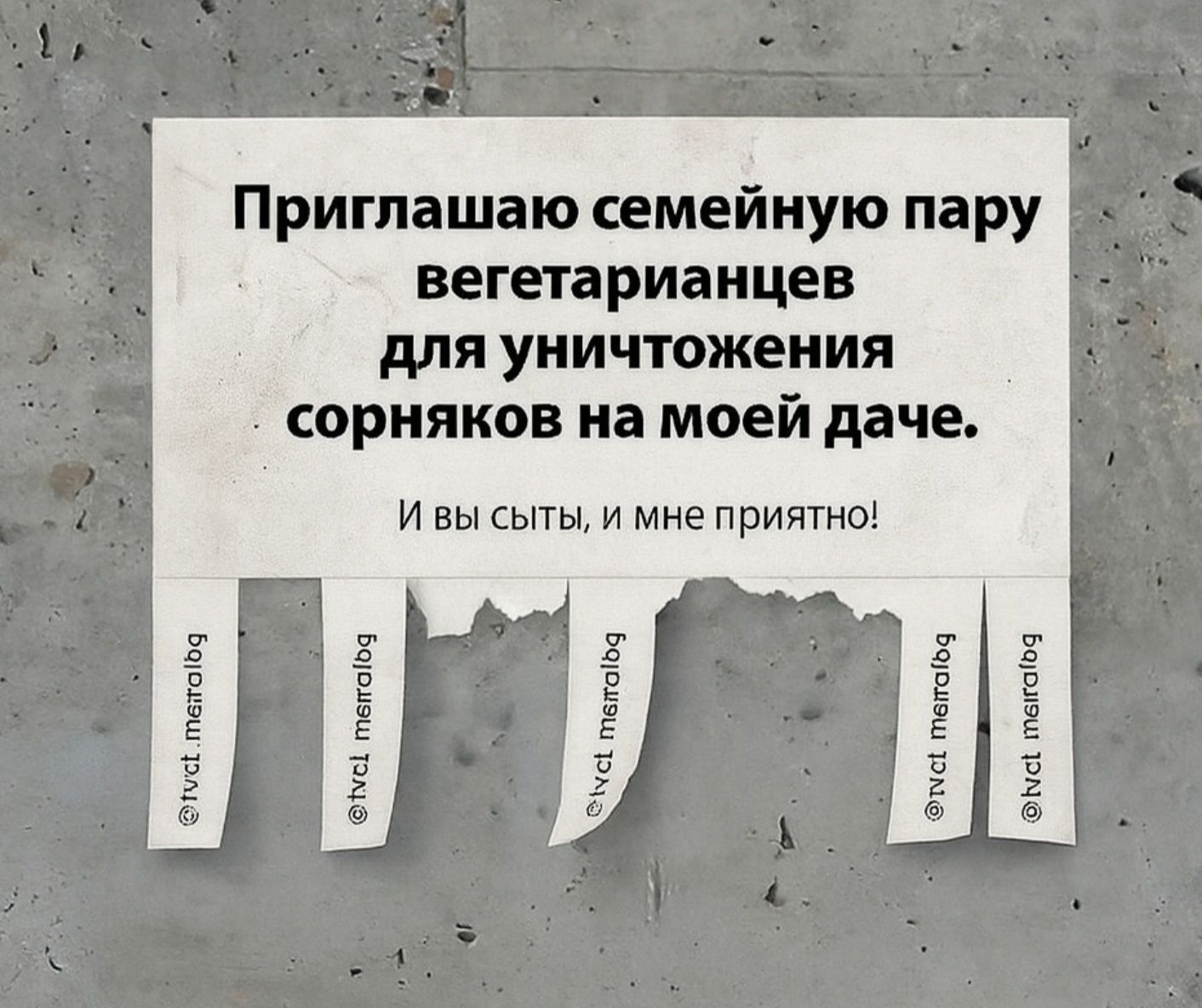 Приглашаю семейную пару вегетарианцев для уничтожения сорняков на моей даче.
И вы сыты, и мне приятно!