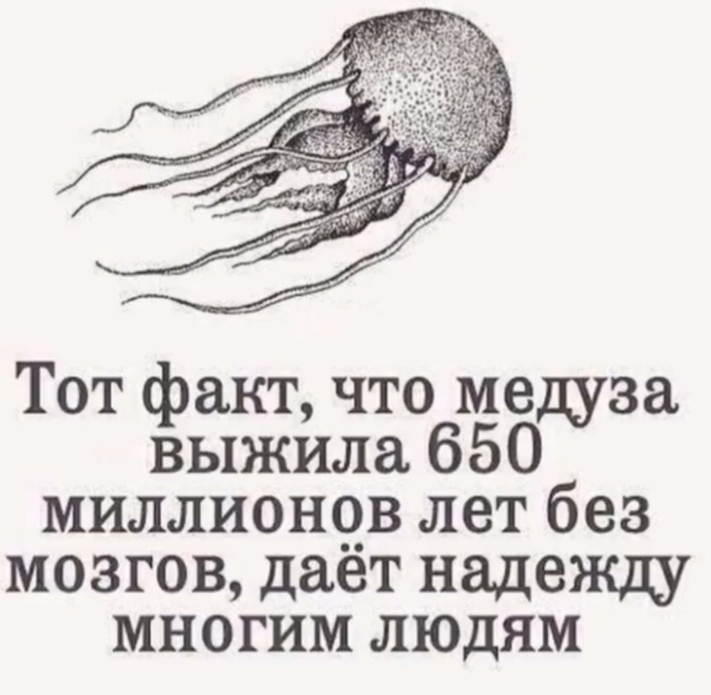 Тот факт, что медуза выжила 650 миллионов лет без мозгов, даёт надежду многим людям