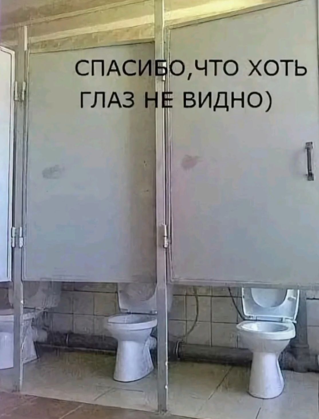 СПАСИБО,ЧТО ХОТЬ ГЛАЗ НЕ ВИДНО)