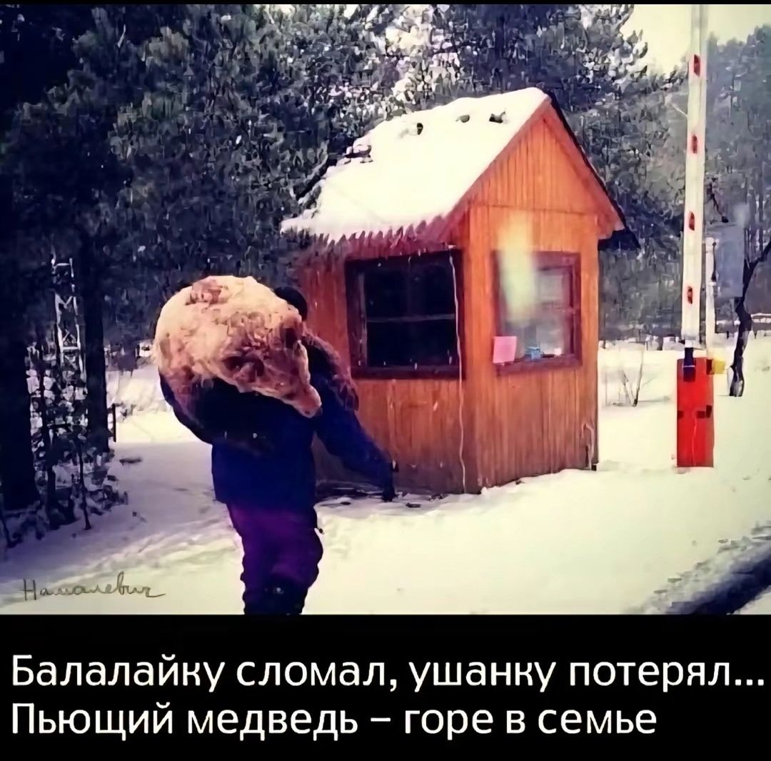 Балалайку сломал, ушанку потерял... Пьющий медведь – горе в семье