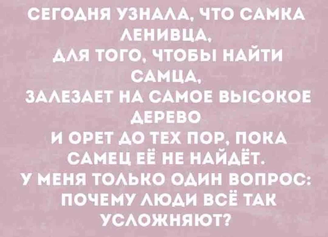 СЕГОДНЯ УЗНАЛА, ЧТО САМКА ЛЕНИВЦА, ДЛЯ ТОГО, ЧТОБЫ НАЙТИ САМЦА, ЗАЛЕЗАЕТ НА САМОЕ ВЫСОКОЕ ДЕРЕВО И ОРЕТ ДО ТЕХ ПОРО, ПОКА САМЕЦ ЕЁ НЕ НАЙДЁТ. У МЕНЯ ТОЛЬКО ОДИН ВОПРОС: ПОЧЕМУ ЛЮДИ ВСЁ ТАК УСЛОЖНЯЮТ?