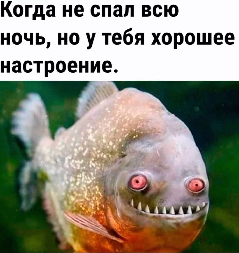 Когда не спал всю ночь, но у тебя хорошее настроение.