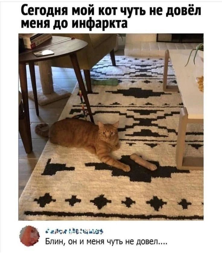 Сегодня мой кот чуть не довёл меня до инфаркта
Блин, он и меня чуть не довел....
