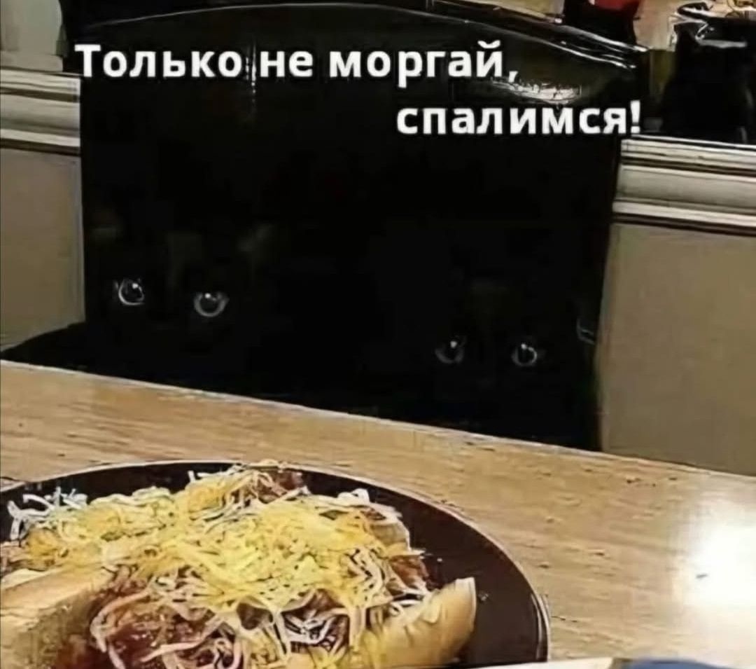 Только не моргай, спалимся!
