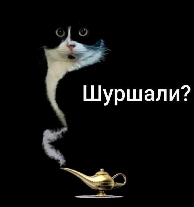 Шуршали?